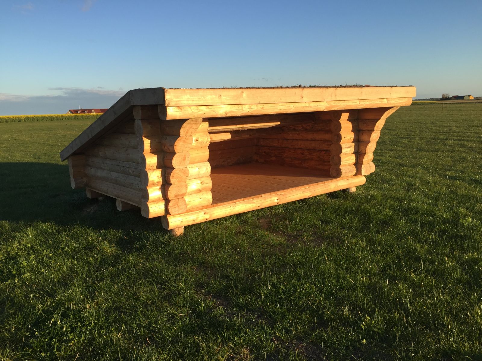 Shelter