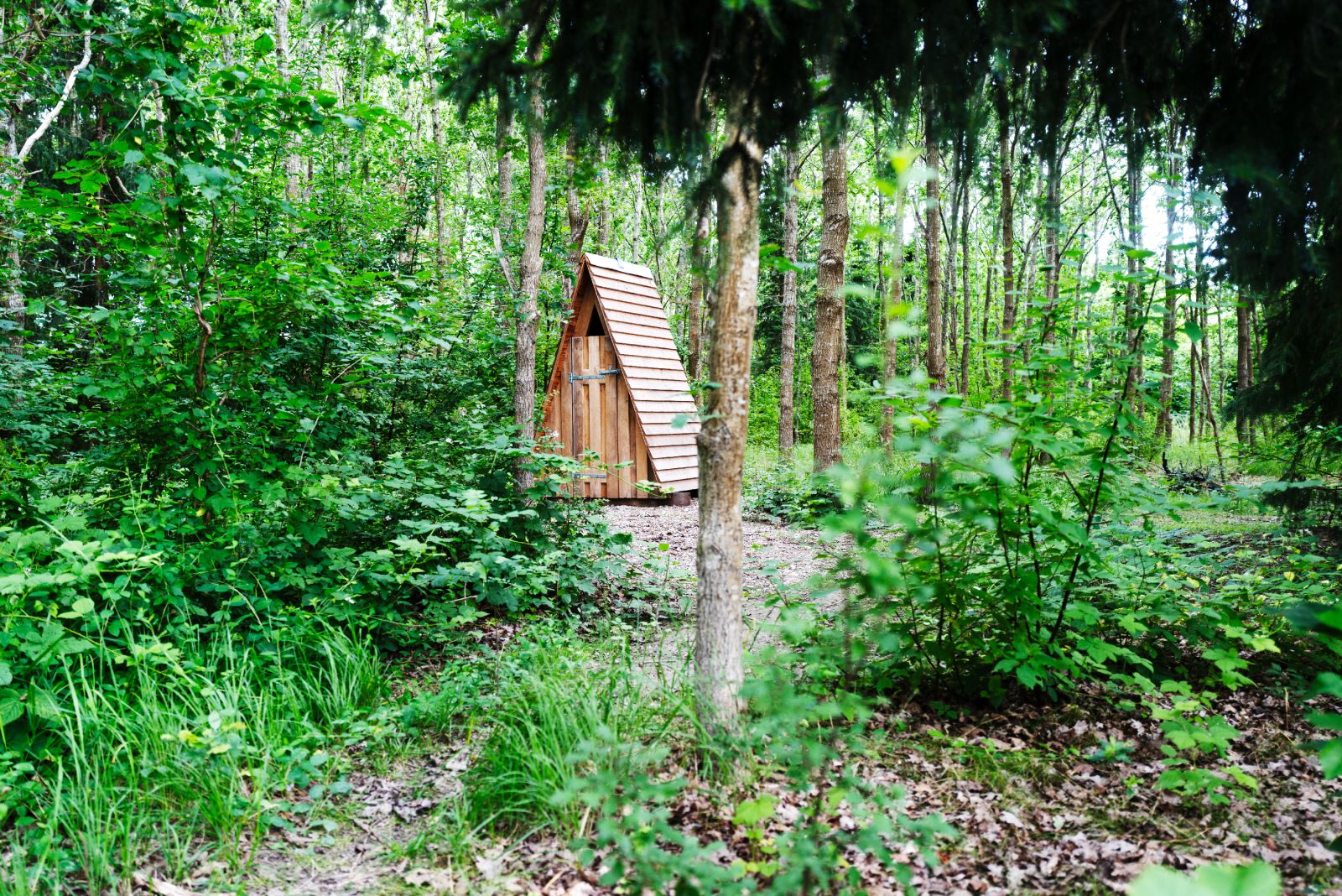 Primitivt muldtoilet
