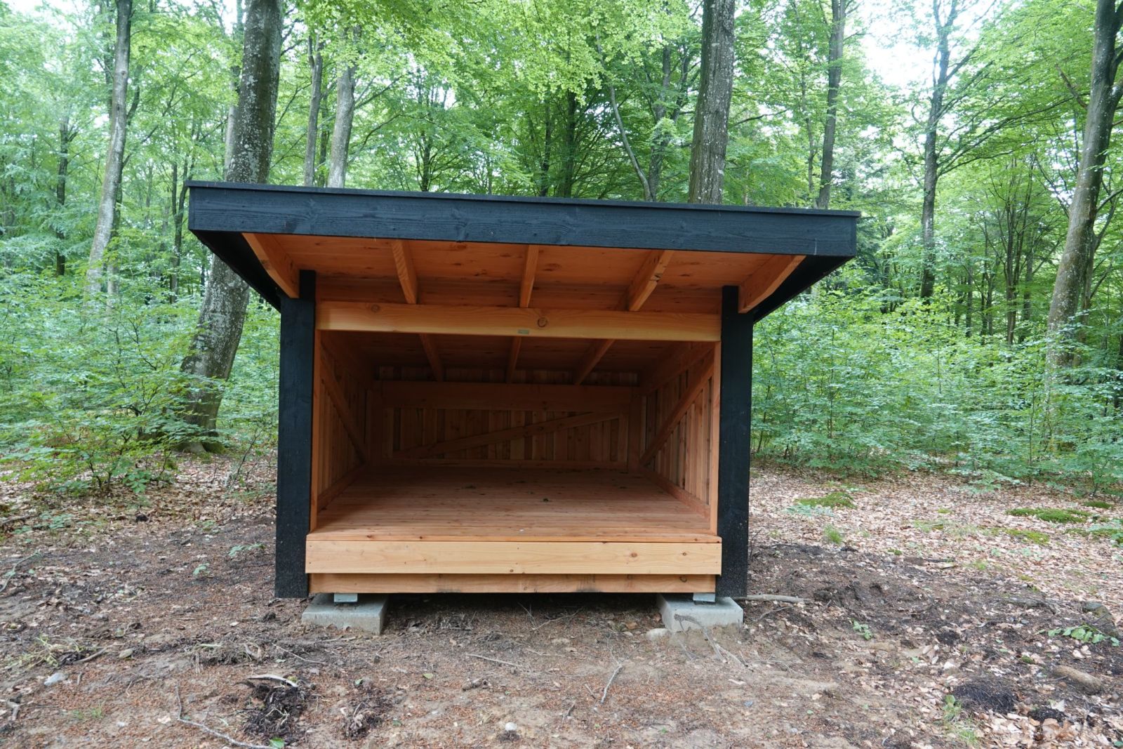 Shelterplads Vindum Skov - Shelter nr. 2 (ikke bookbar) – miniature 4