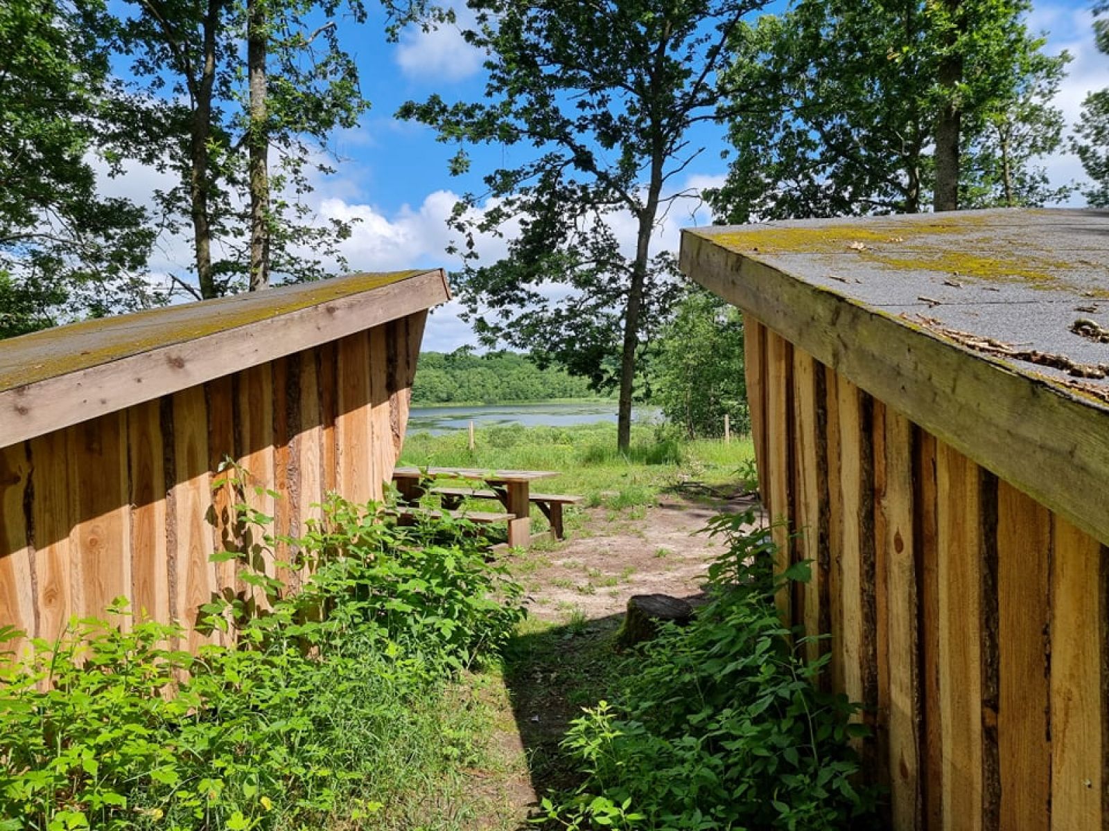 Hastrup Plantage – shelter 2 – miniature 2