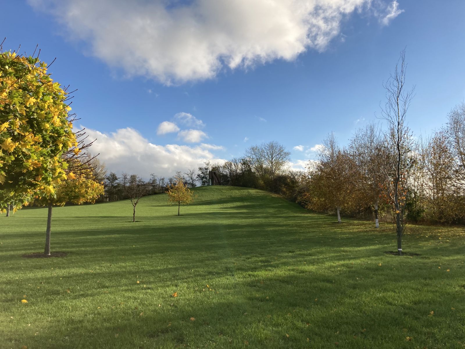 Billedet viser kælkebakken set fra afstand om sommeren