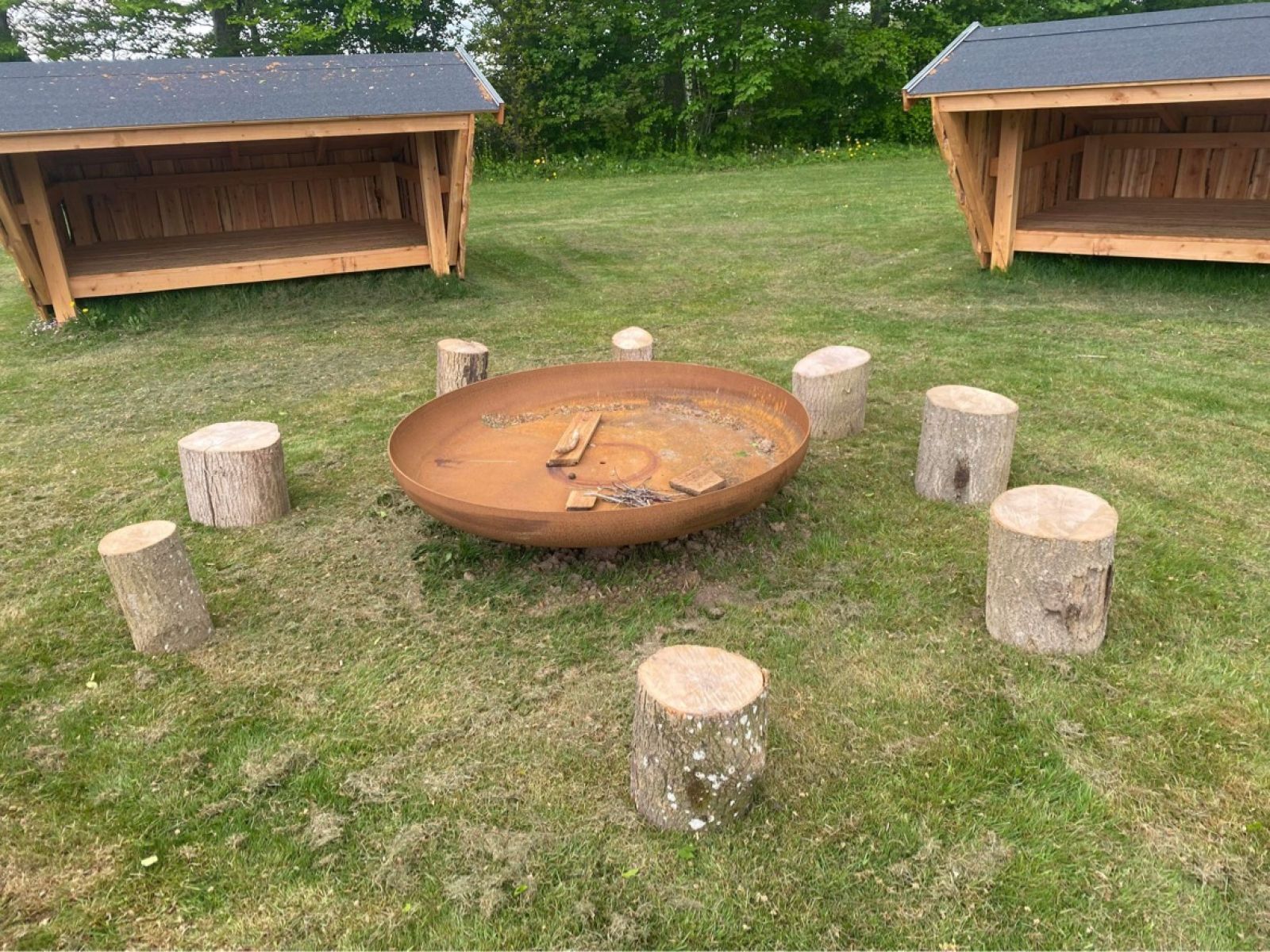Naturpladsen i Sdr. Højrup – miniature 5