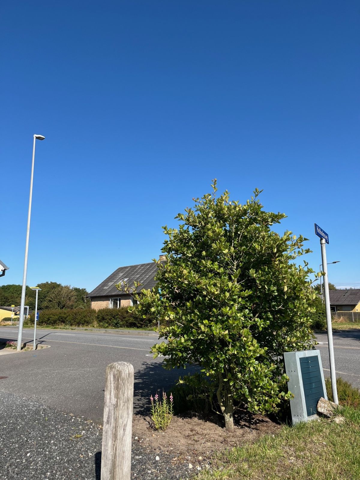 Løkkensvej med busstoppested.