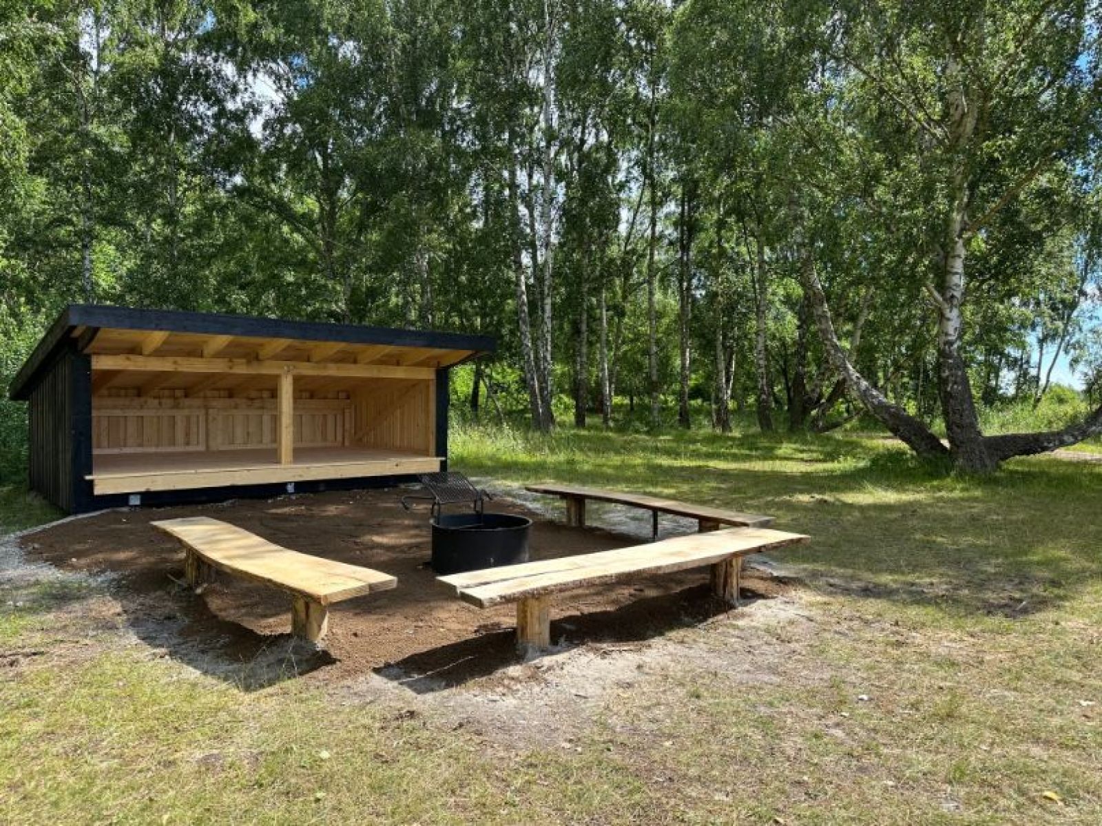 Kalvebod Fælled, Fasanskoven, shelter ved Birkedammen – miniature 4