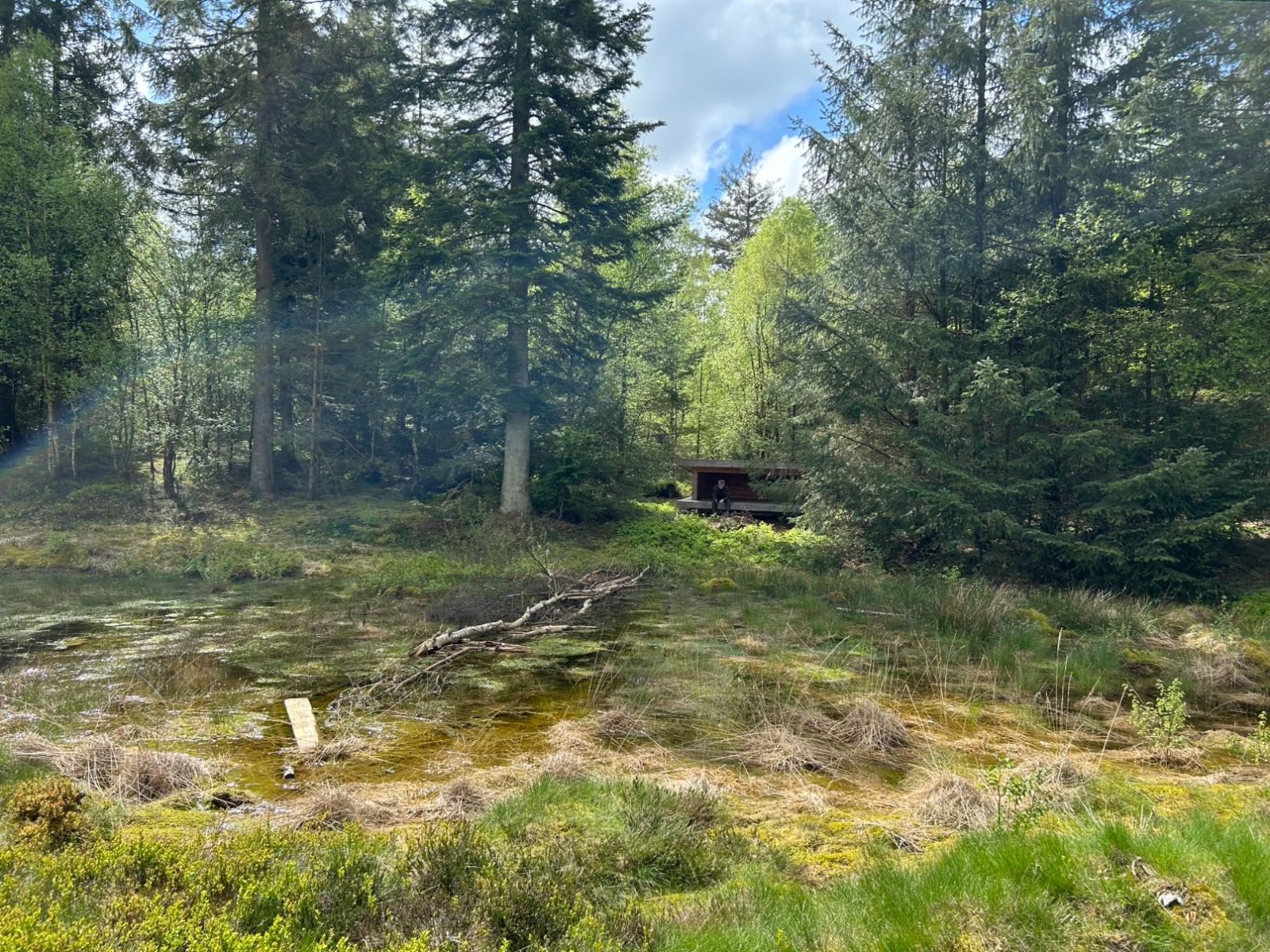Shelterplads ved Kældermosen, Hampen sø – miniature 4