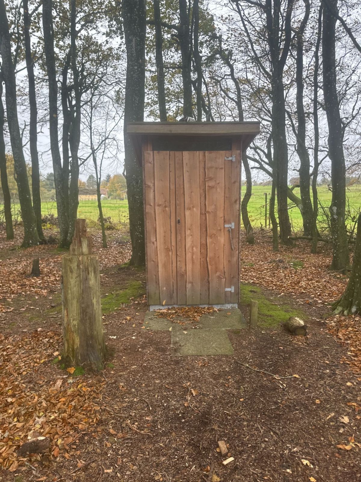 Shelter – miniature 1