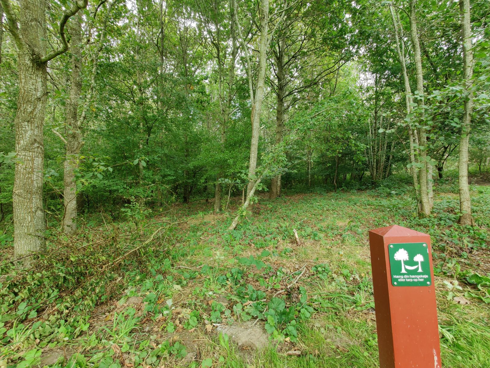 Gå efter de røde pæle med piktogrammer