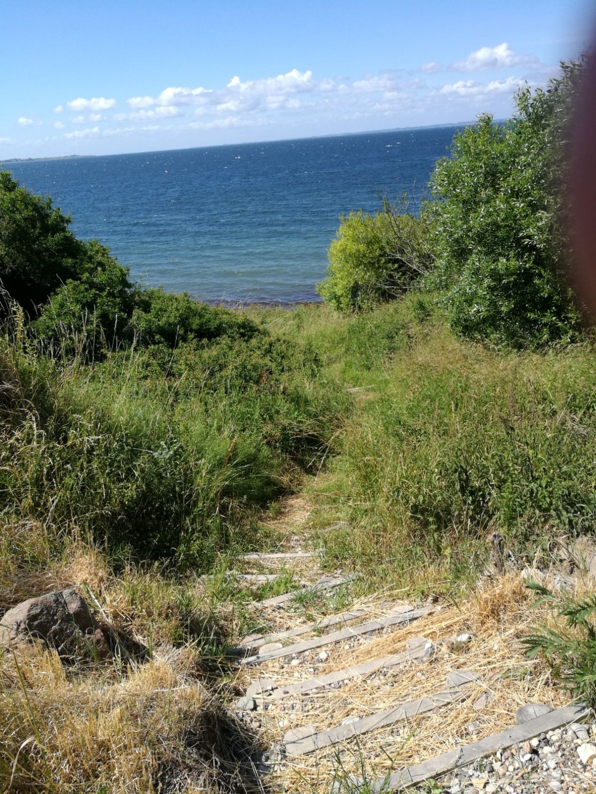 Nedgang til vandet ved Skallevej