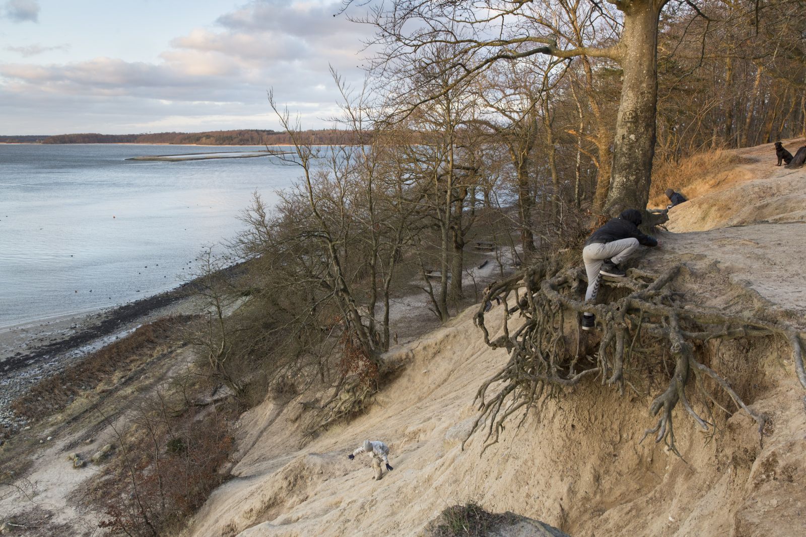 Dreng kæmper sig op ad Lerskrænten