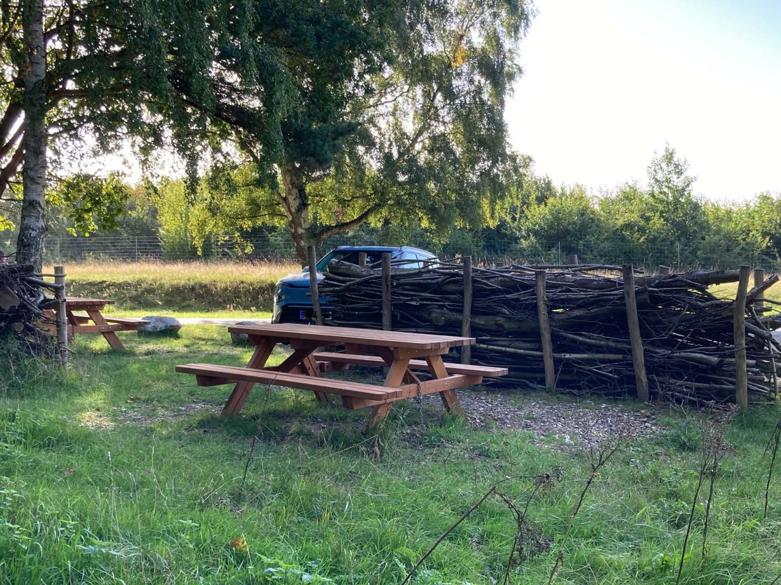 Bord/bænksæt på græs