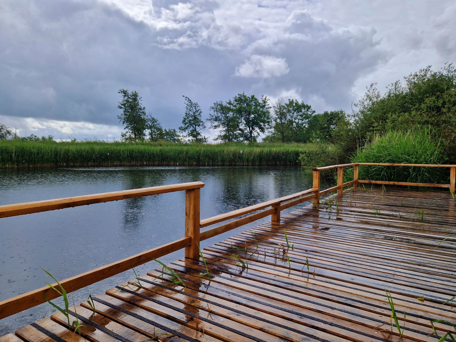 Fiskeplatform med skridsikker træbeklædning