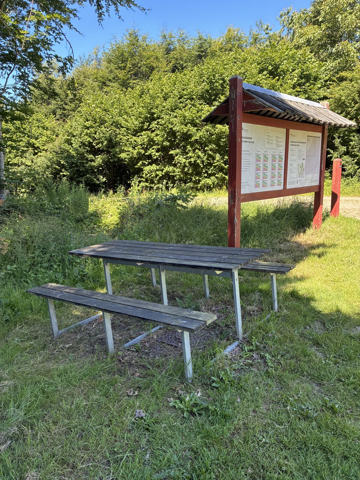 Bord/bænkesæt i græs