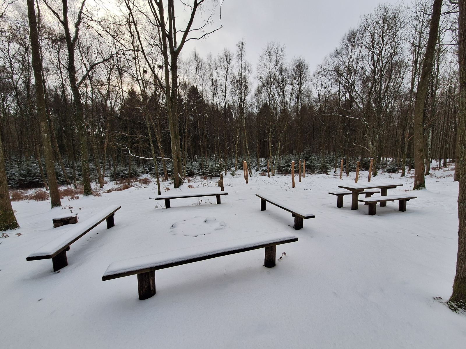 Billedet viser et lille bålsted omkranset af fire bænke. Ved siden af står et bordebænkesæt. I baggrunden, ca. 6 meter væk, ses ni pæle til opsætning af hængekøjer.