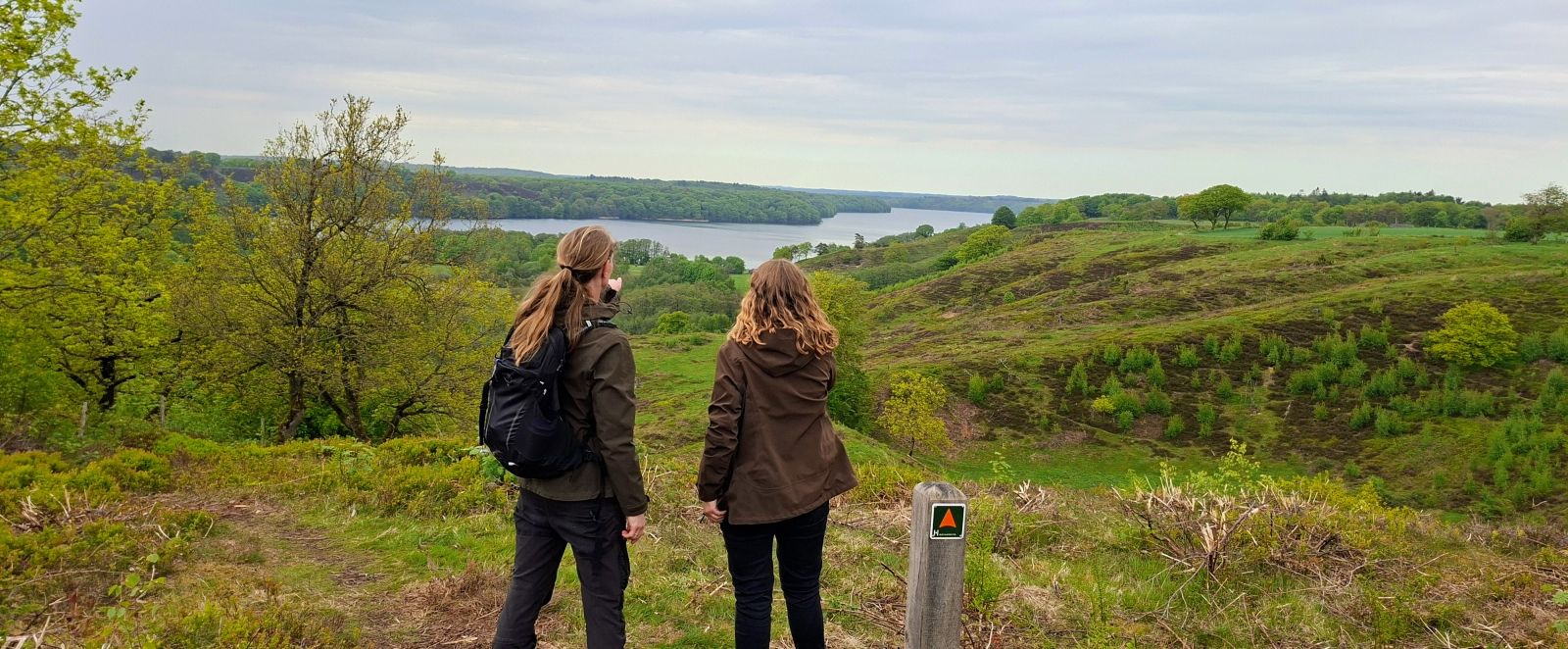 Udsigt over Hald sø