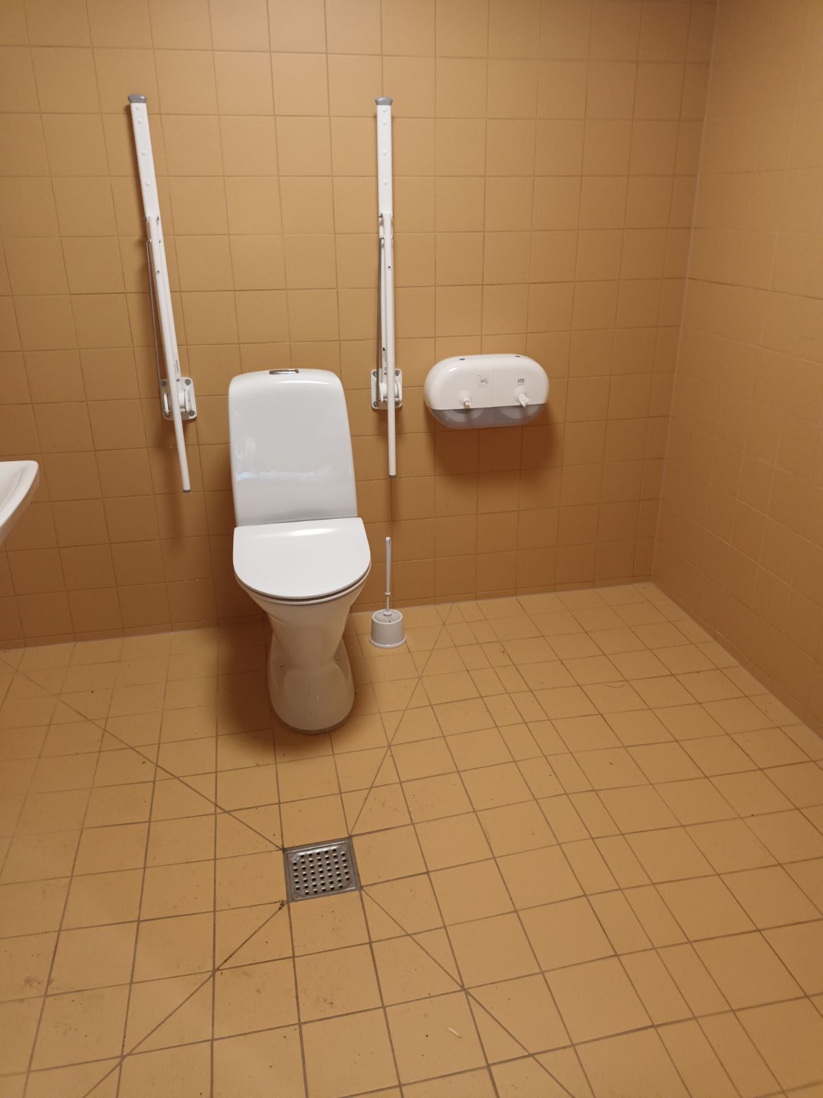 Handicaptoilet
