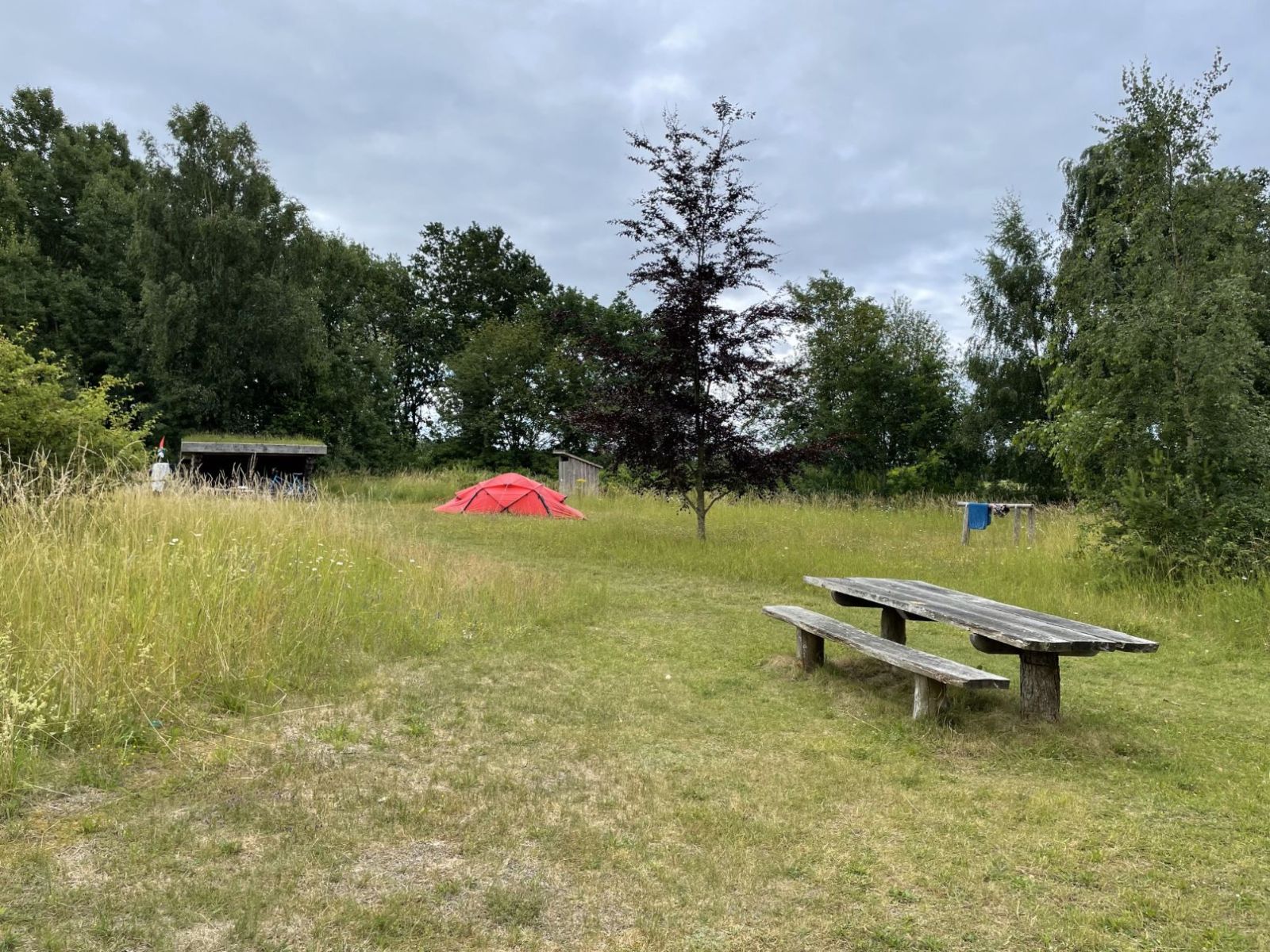 Shelter og multtoilet i kanten af pladsen