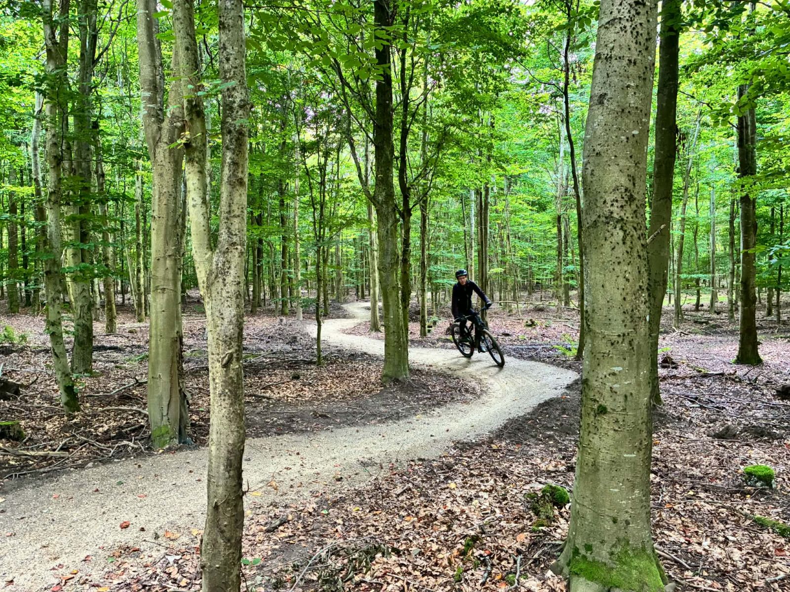 Mountainbike, der kører på ensartet underlag gennem skoven