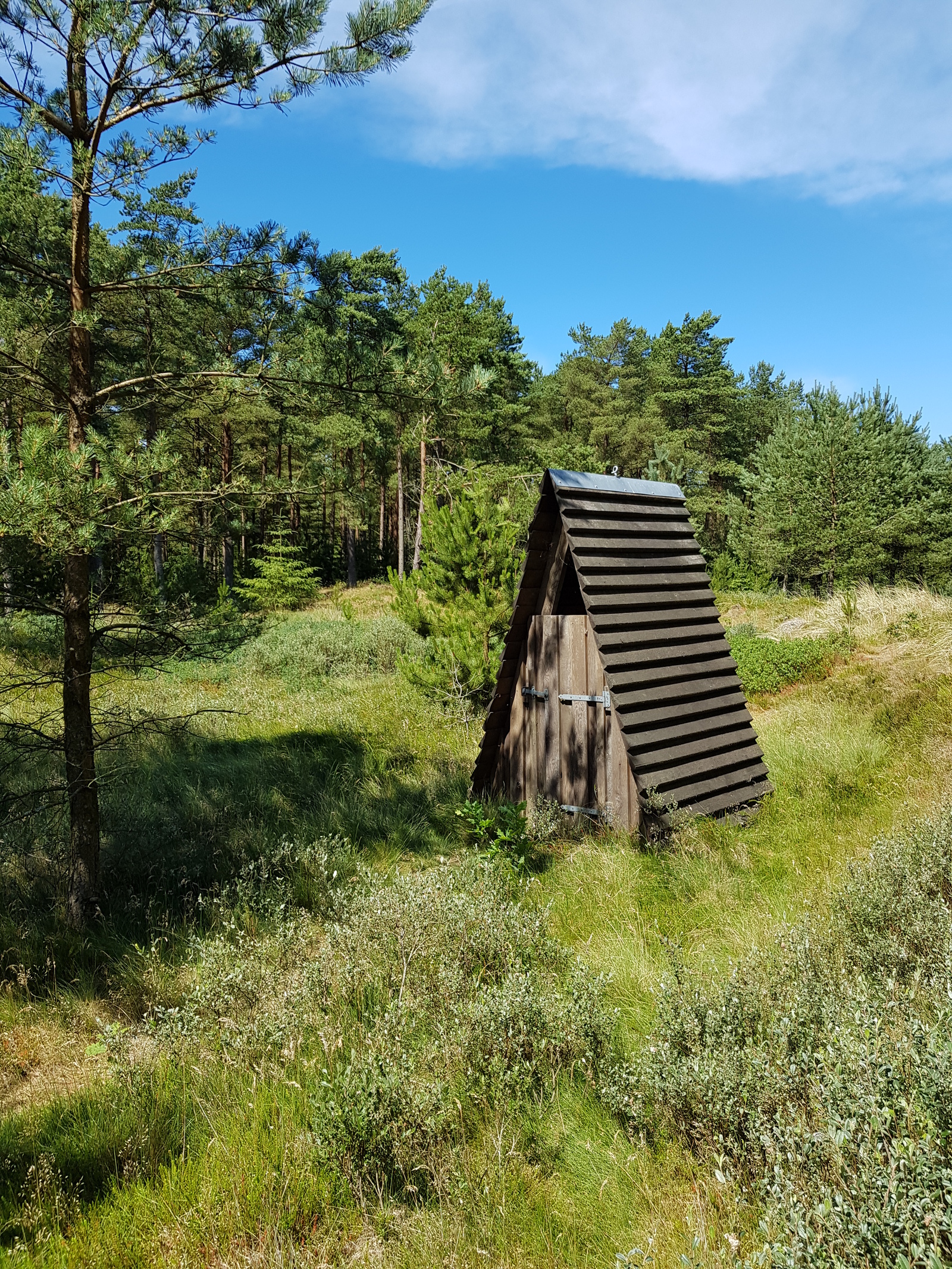 Lild ved shelterplads, shelter in Denmark