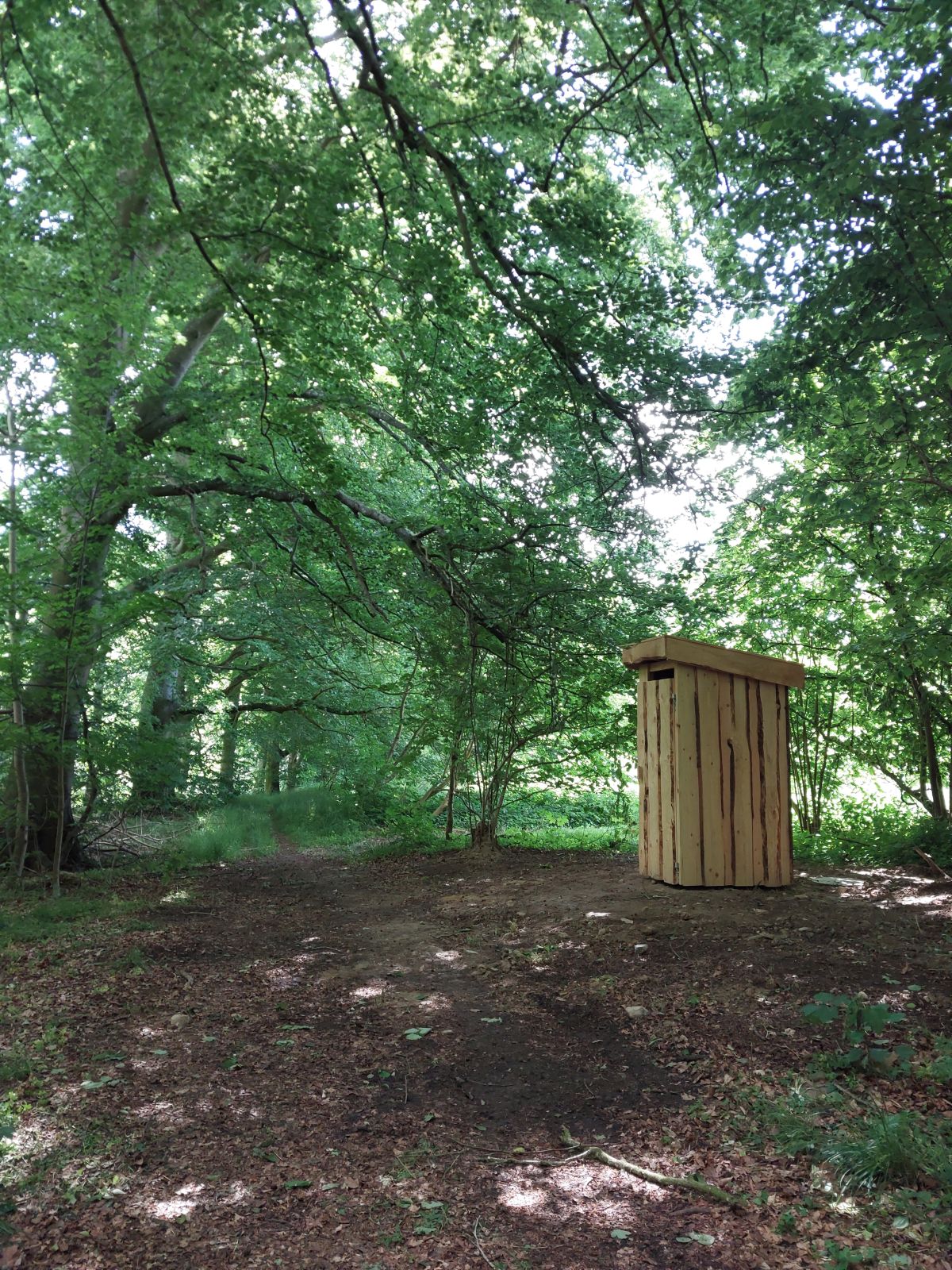 Primitivt toilet i skovbrynet