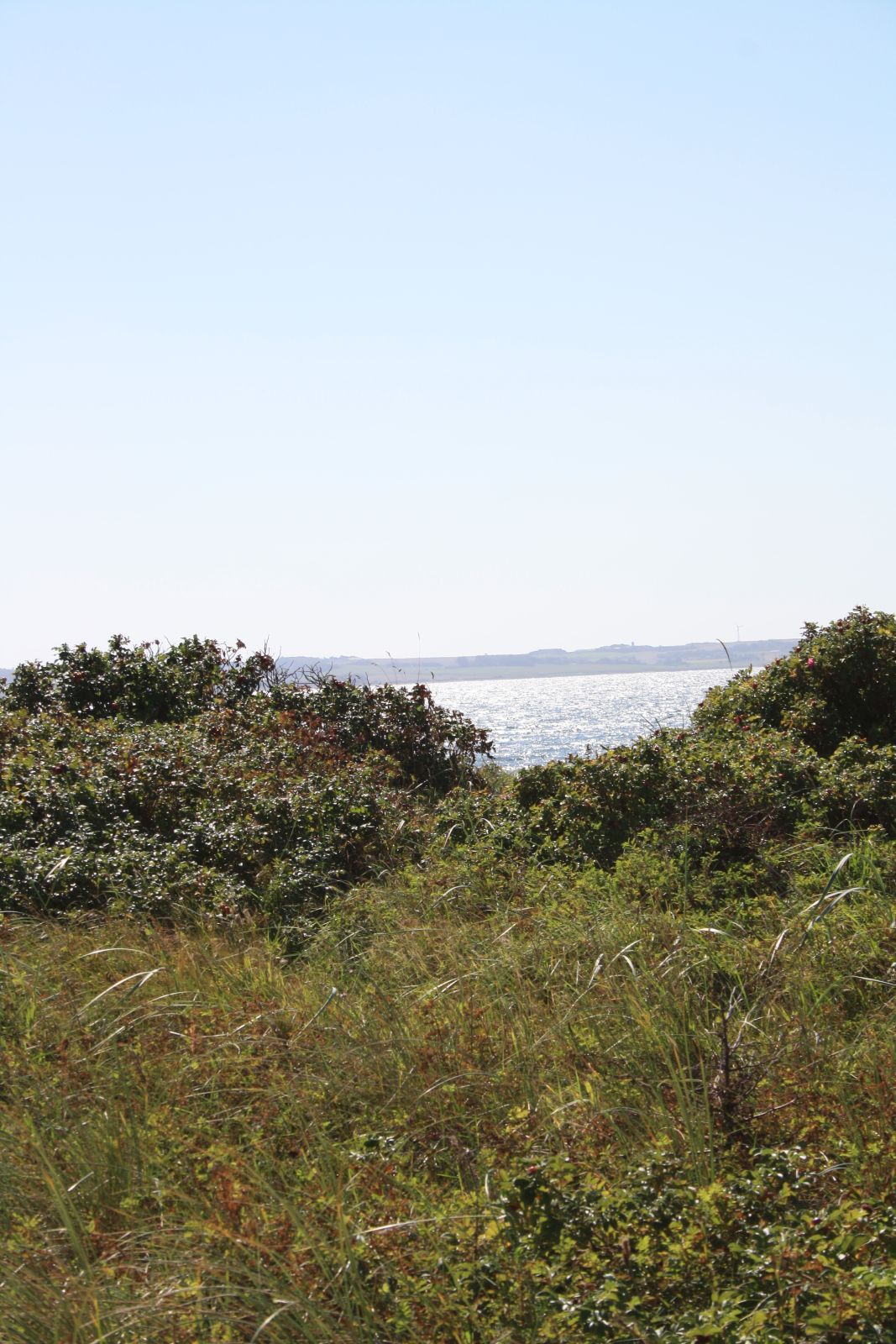 Natursti Oddesund Nord