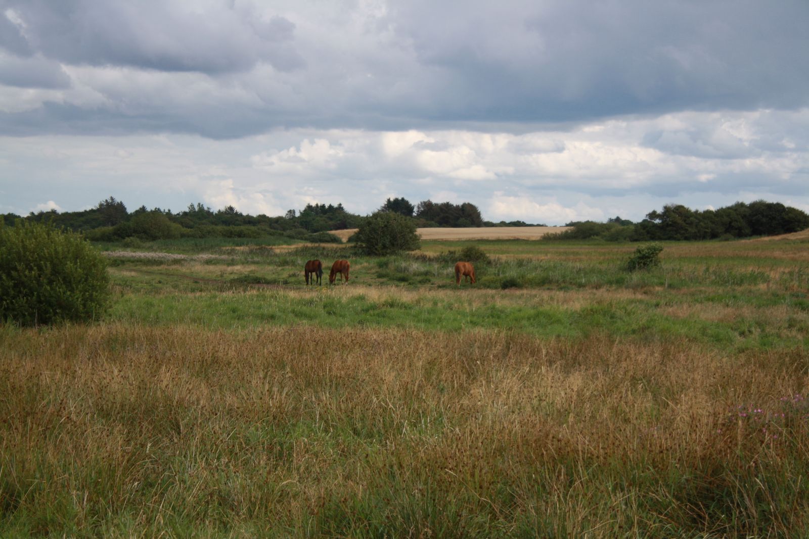 Kilderuten