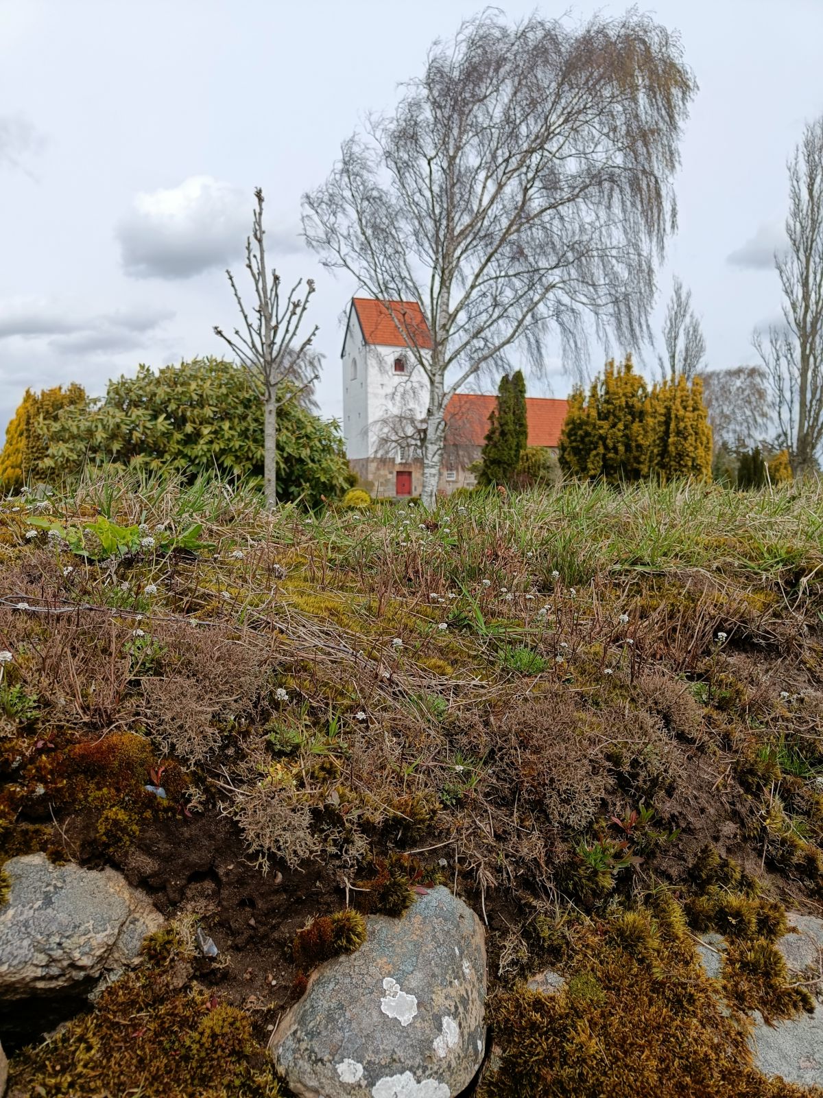 Shelters på Kirkelunden ved Veggerby Kirke – miniature 5