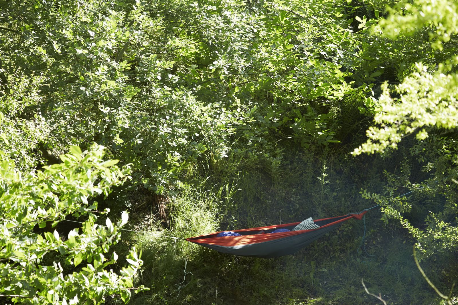 Haldbjerg Naturcampus – miniature 10