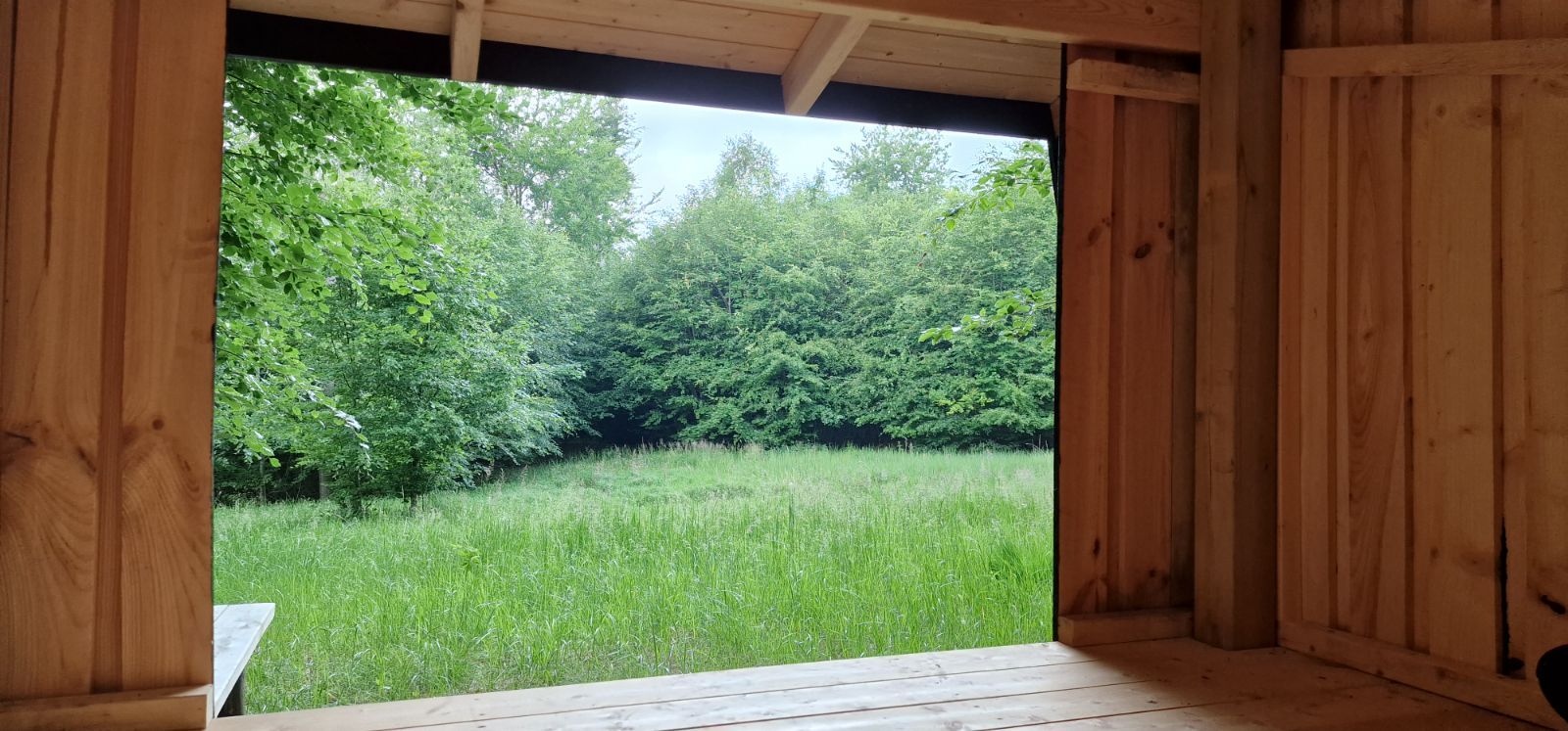 Fluesnapperen shelter – miniature 4