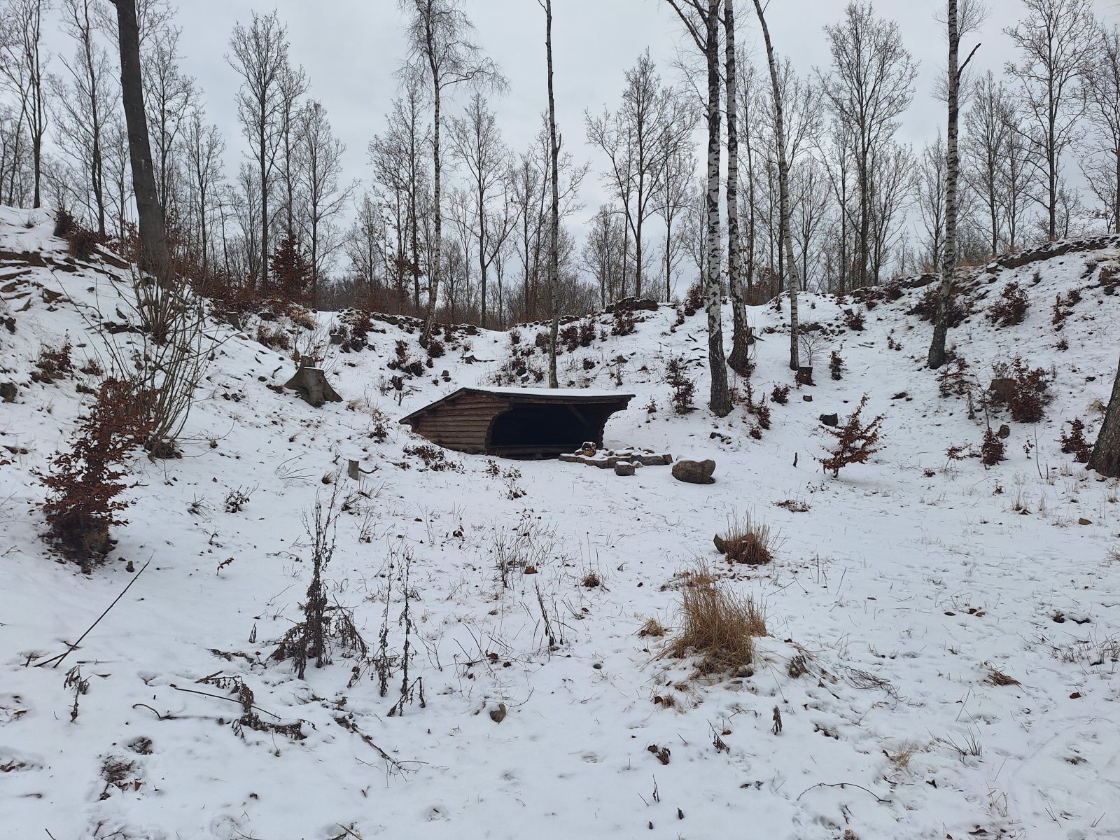 Billedet viser et bjælkeshelter på afstand med et lille bålsted foran. Shelteret er tæt omgivet af sneklædte skråninger, hvor der vokser lidt birketræer. 