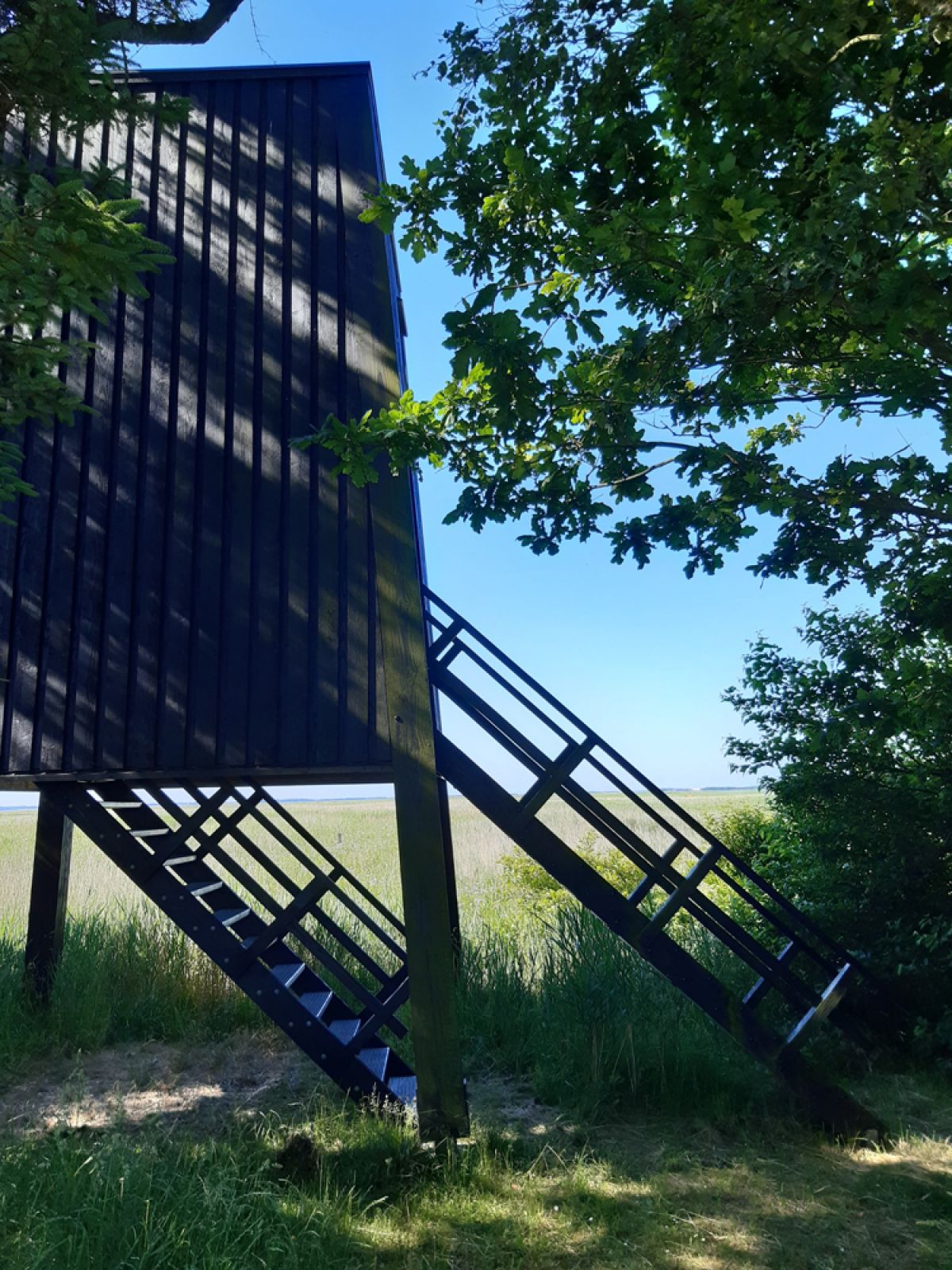 Gørding Fugletårn, shelter in Denmark