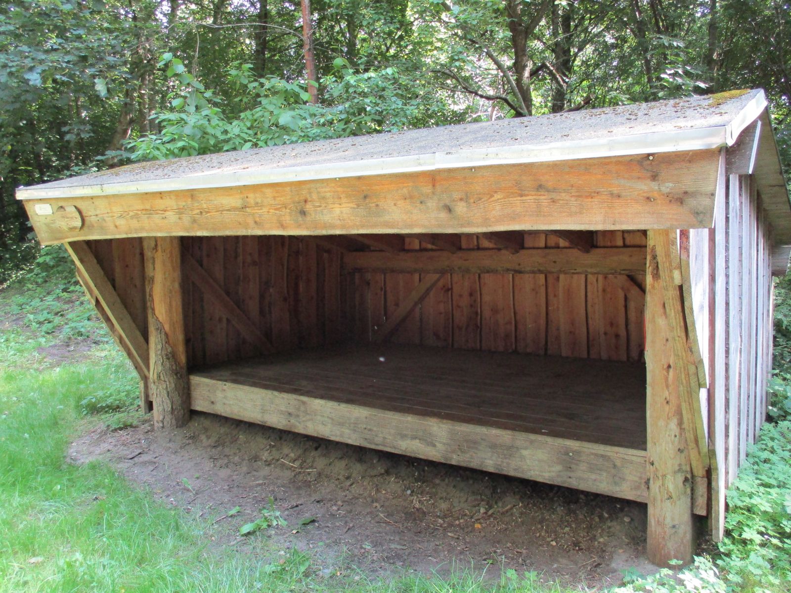 Shelter