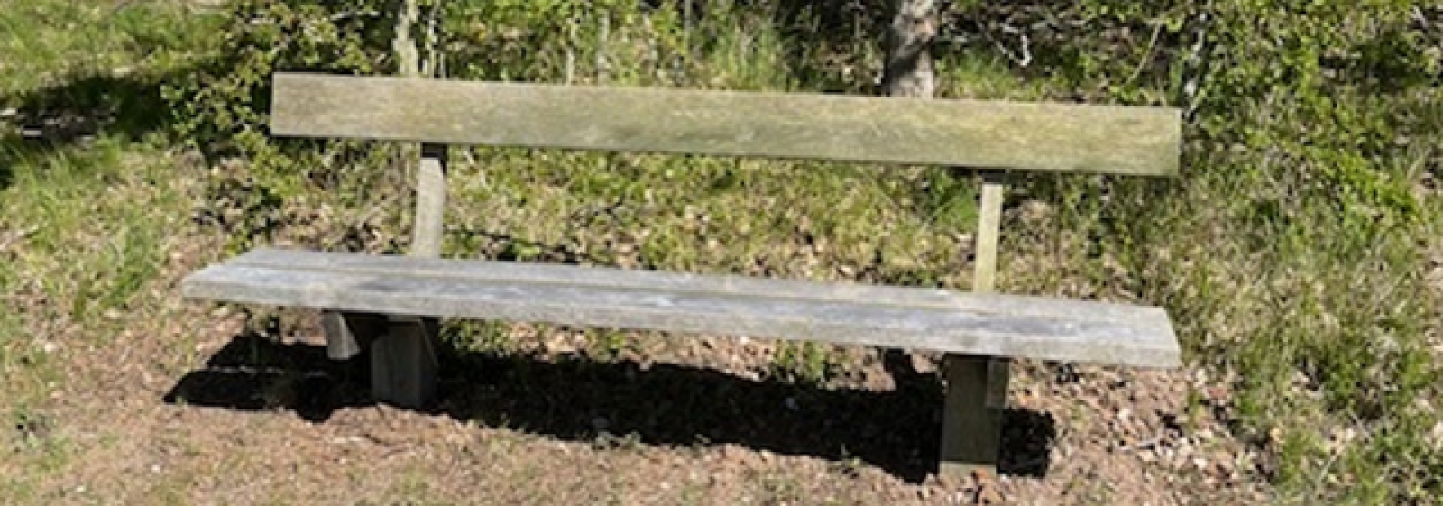 Bænk i Melbyskoven med udsigt ove dalen