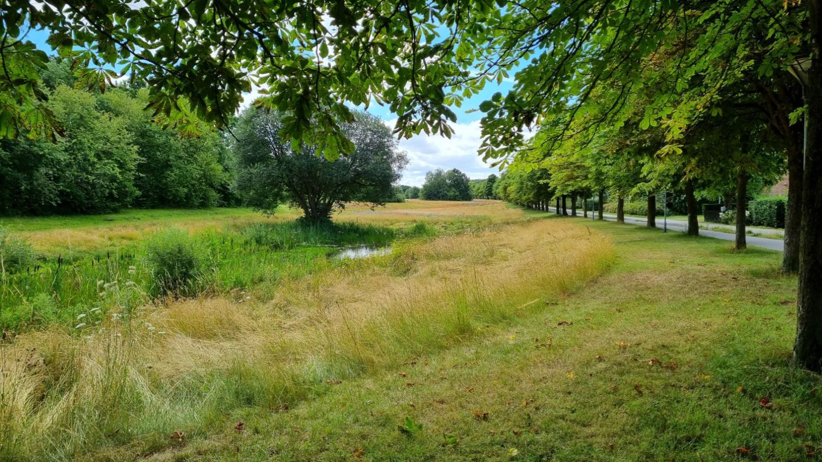 Lille vandhul
