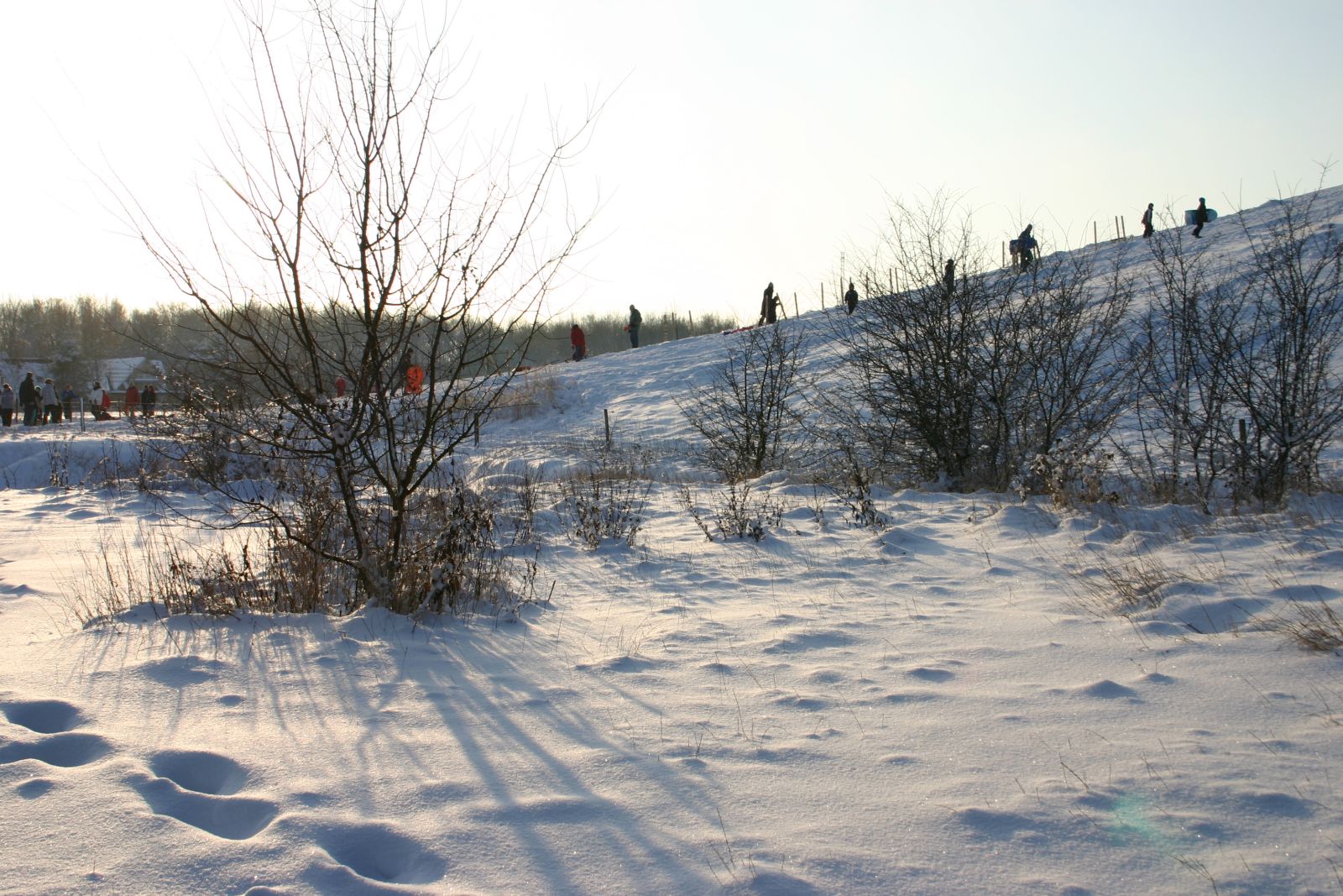 Kælkebakke ved Herstedhøje