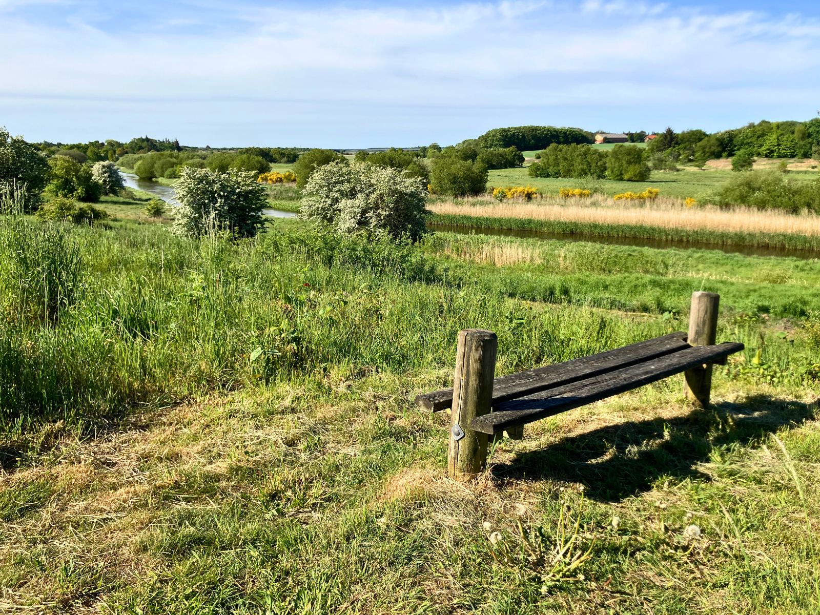 Skive Ådal