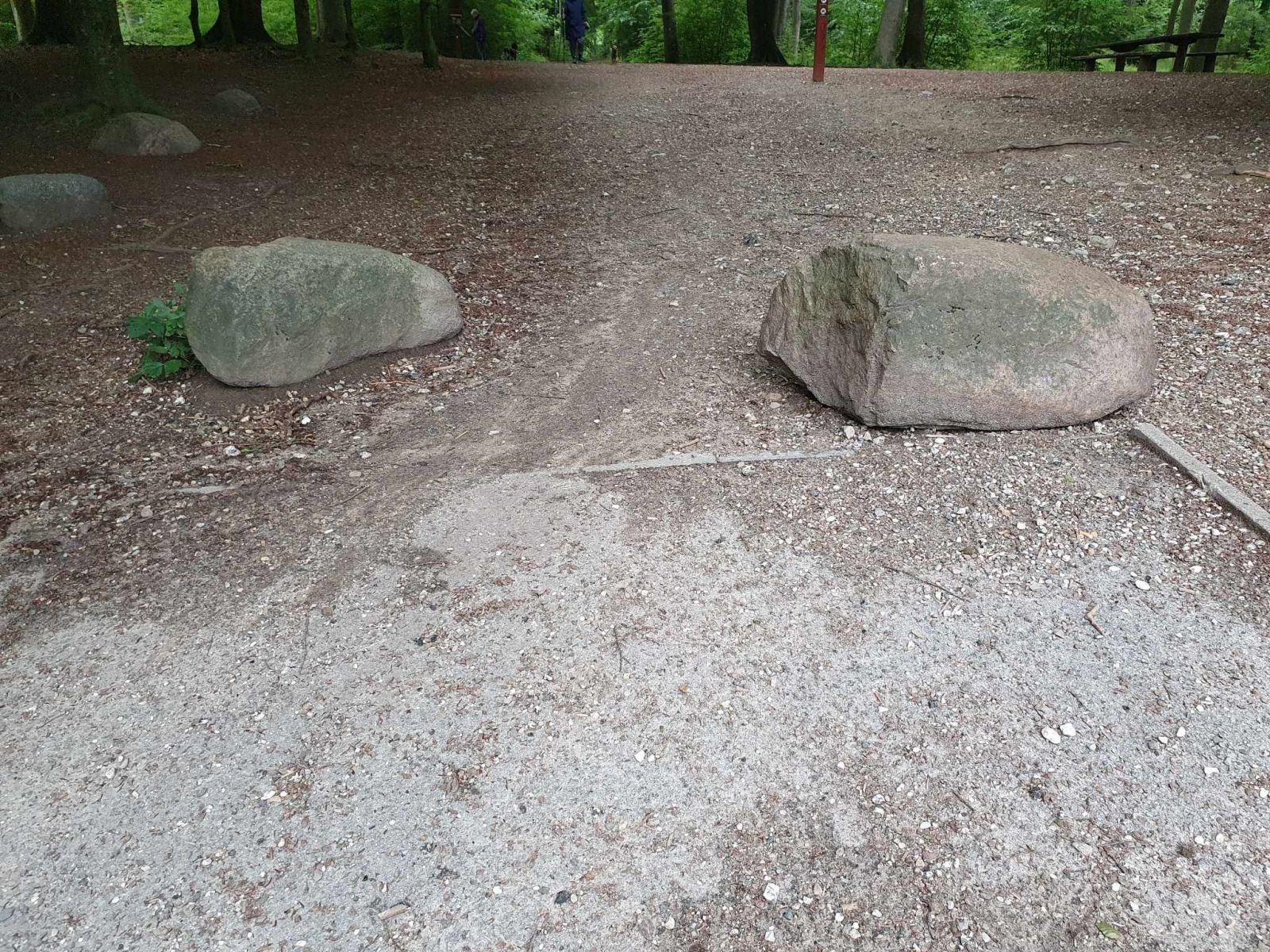 Ved indgangen til skoven ligger to store sten. Afstanden mellem stenene er 110 cm. 