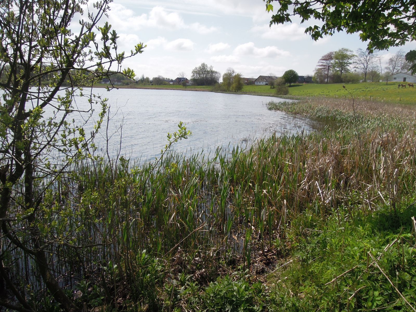 Suldrup Sø
