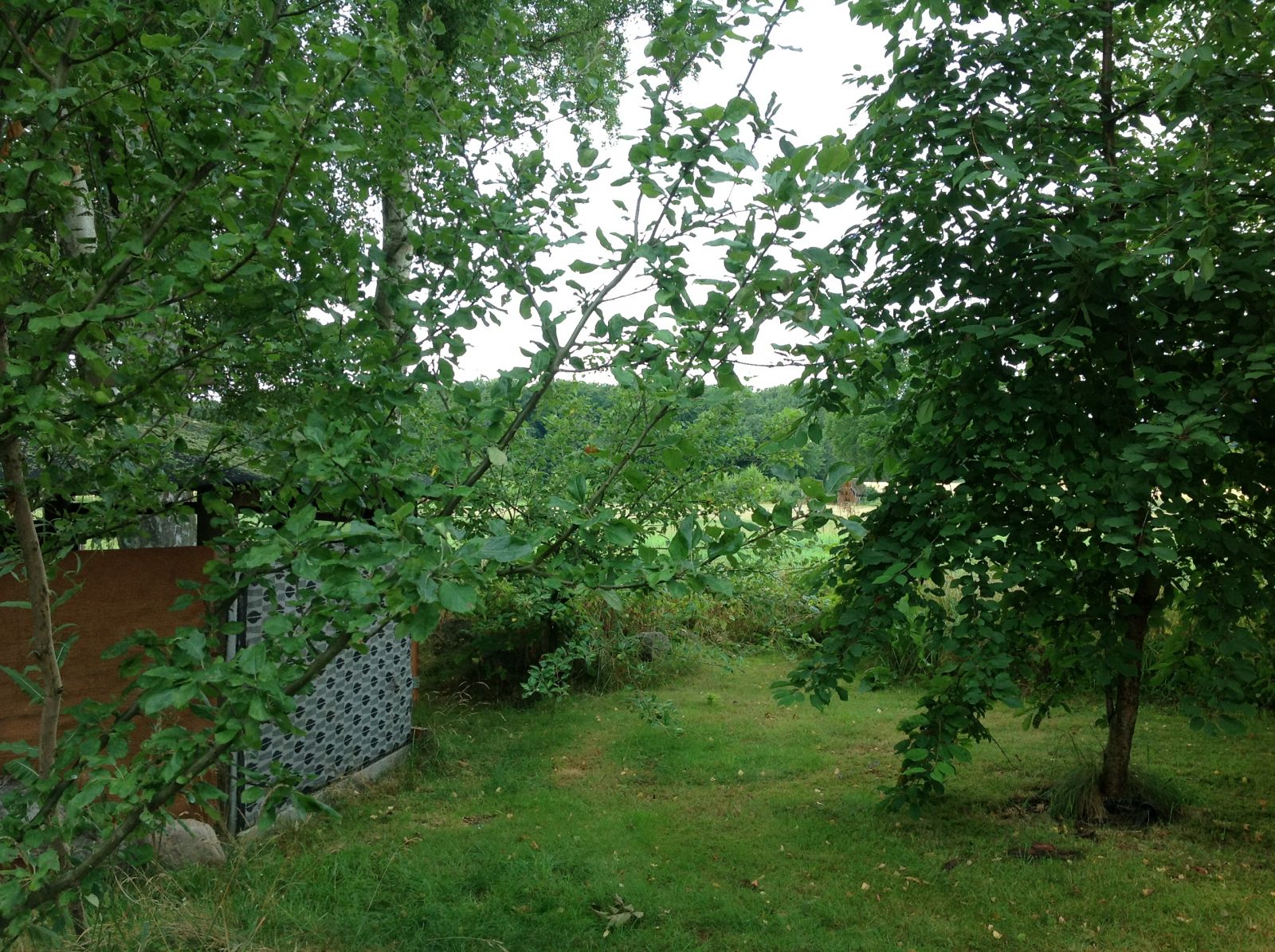 Niks Malergård – miniature 5