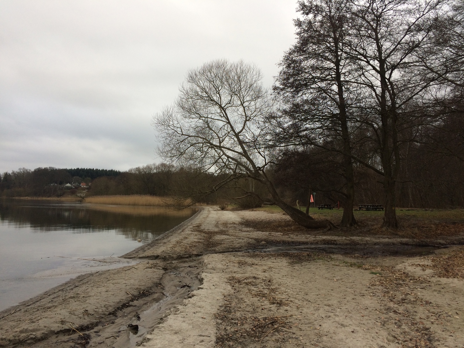 Frederikskilde Strand, Tystrup Sø | Udinaturen.dk