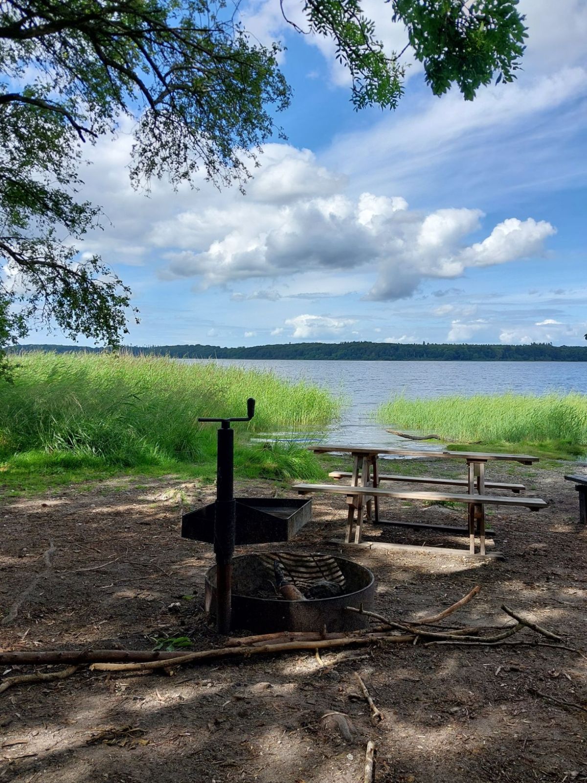 Skjoldunge shelteret, Boserup skov – miniature 4