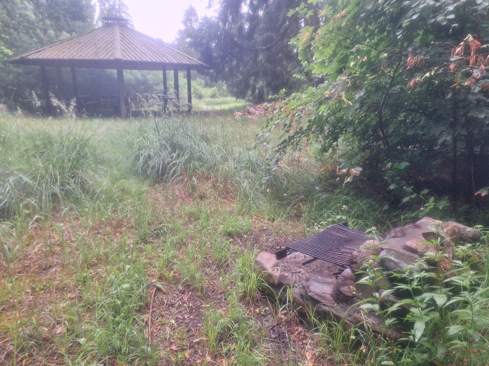 Billedet viser et bålsted placeret i en lille konstruktion af sten set skråt bagfra placeret i en lysning. I baggrunden, ca 10 meter væk, står en bålhytte. Underlaget er græs. Til højre på billedet vokser løv og nål, der har sat grene med blade og nåle helt ned til jorden. Over bålhyttens tag ses noget af himlen.