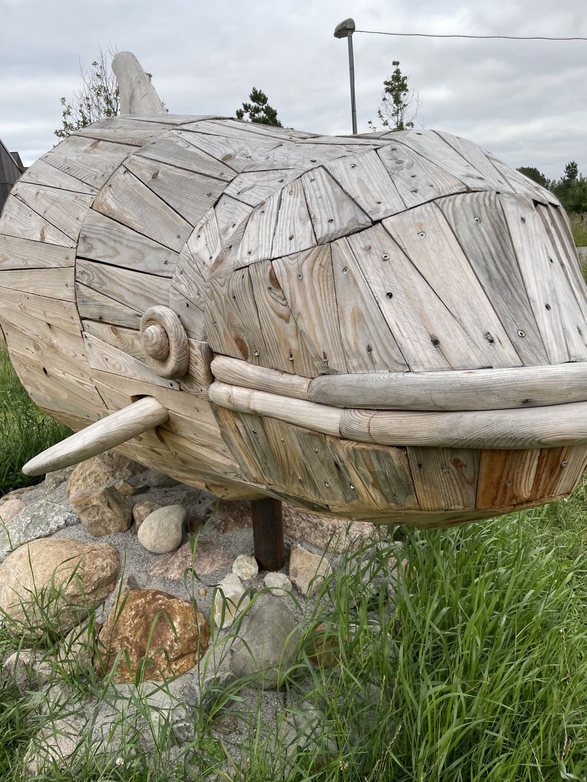 Marsvin træfigur i Kanalbyen