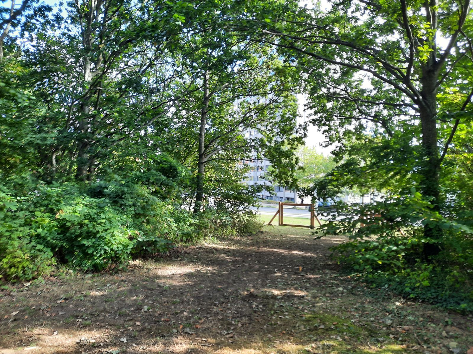 Vestervang hundepark