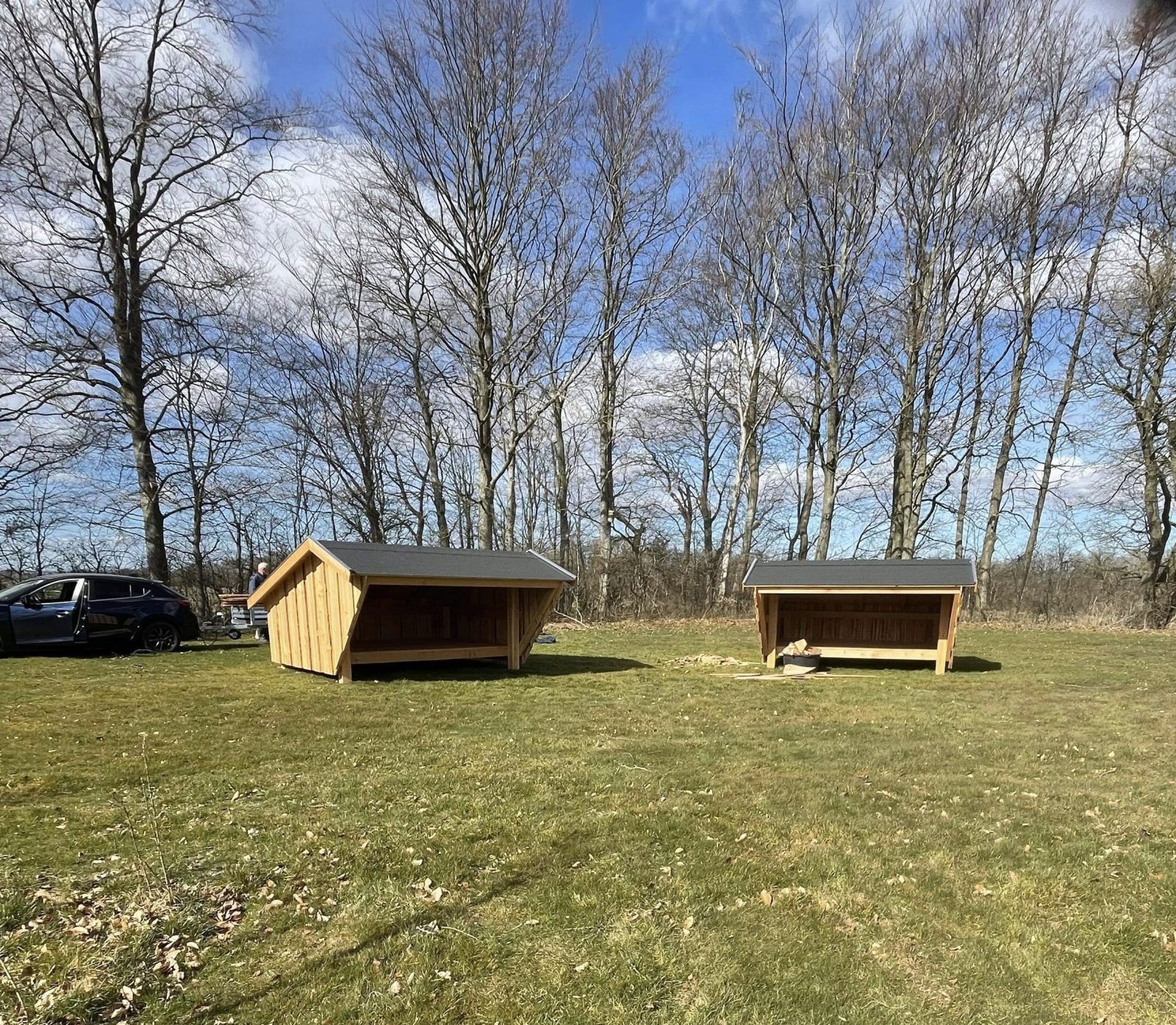 Naturpladsen i Sdr. Højrup – miniature 1