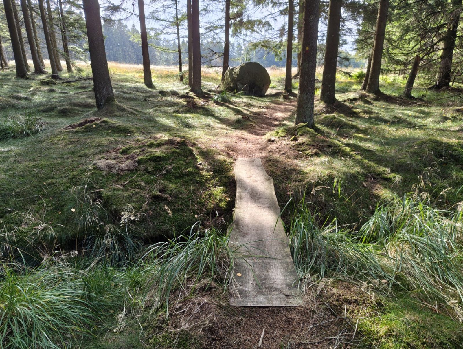 Spang over grøft.