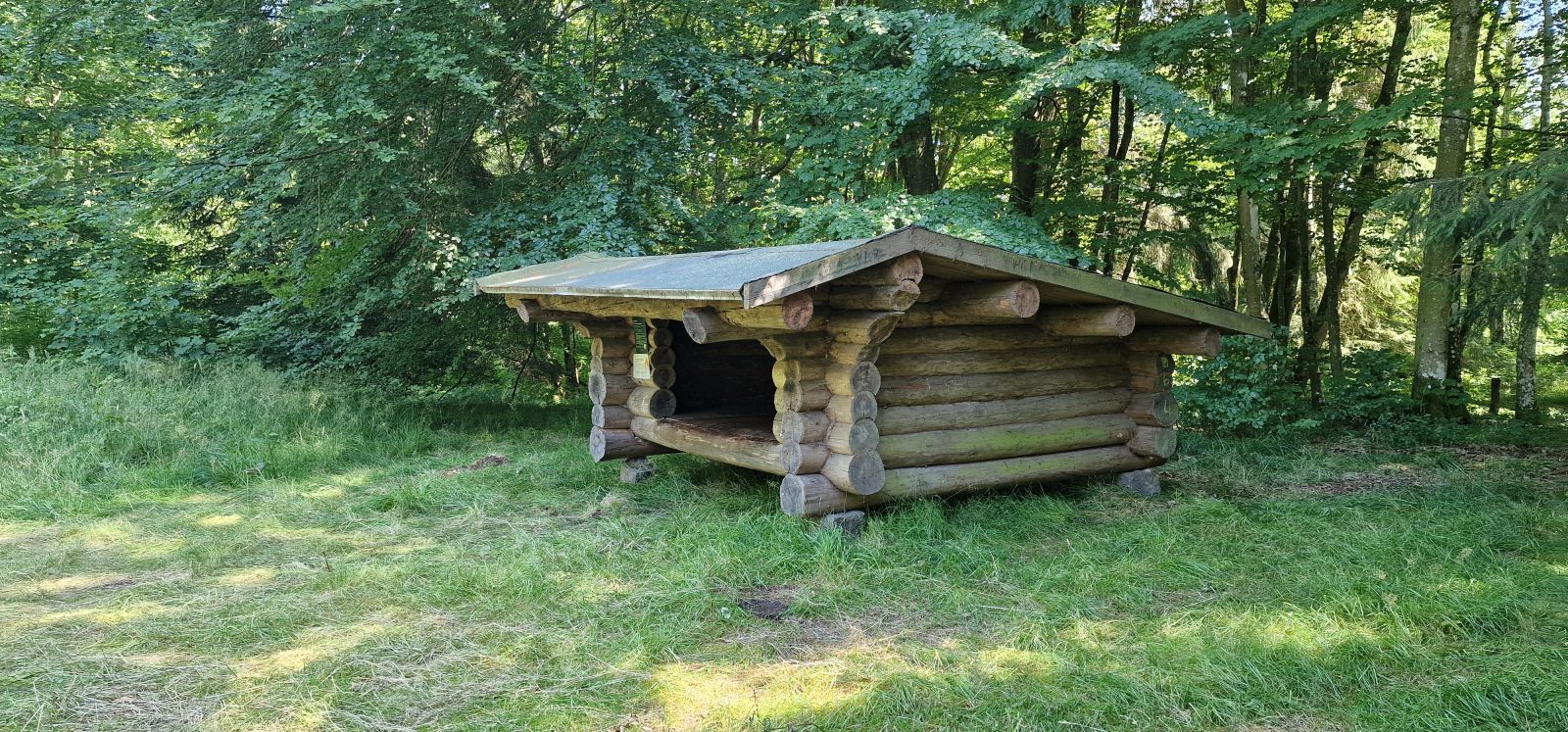 Billedet viser et bjælkeshelter set skråt forfra i en lysning i skoven. Underlaget er græs. Tæt bag shelteret vokser løvskov.