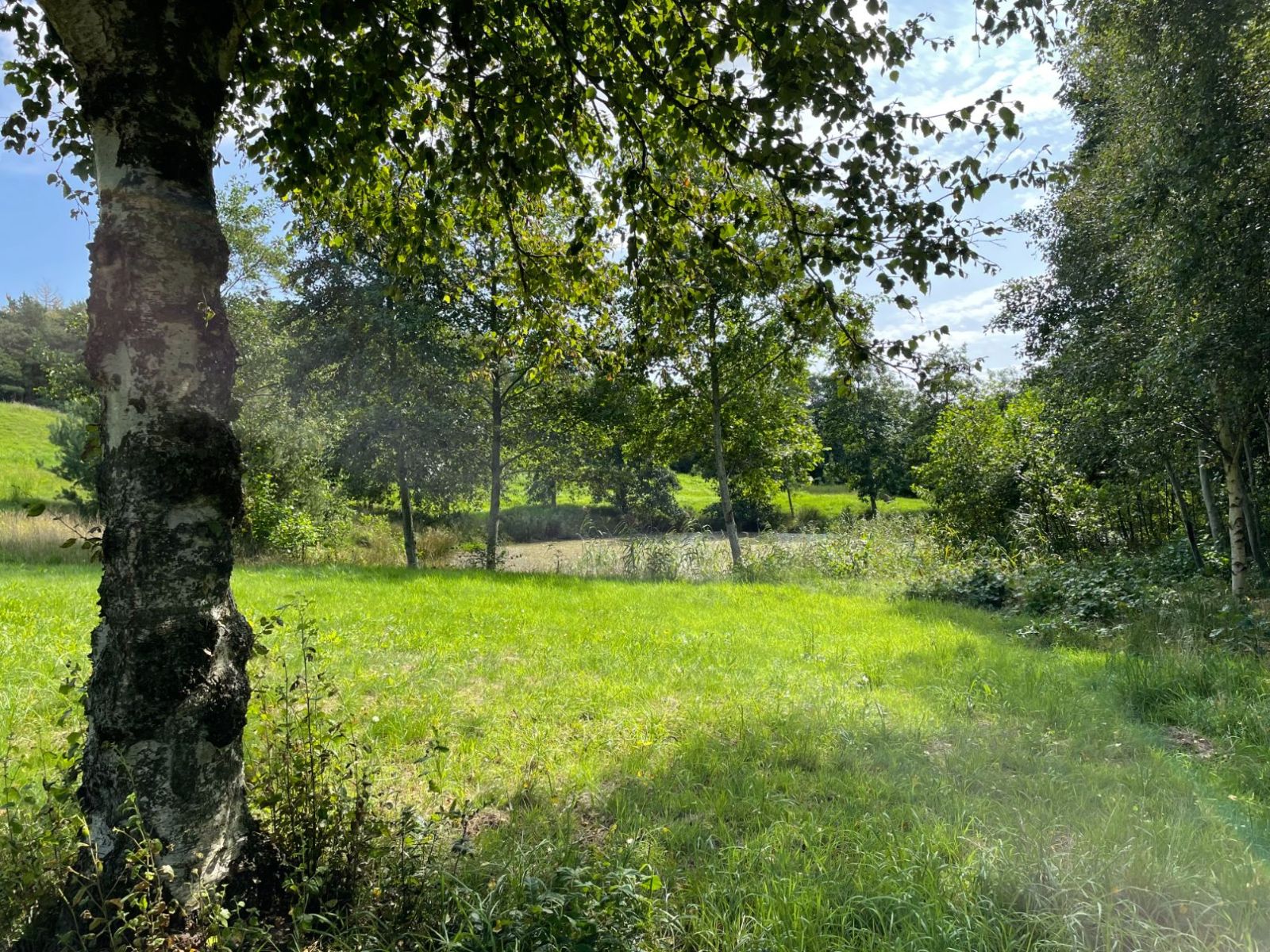 Oksbøl Bypark