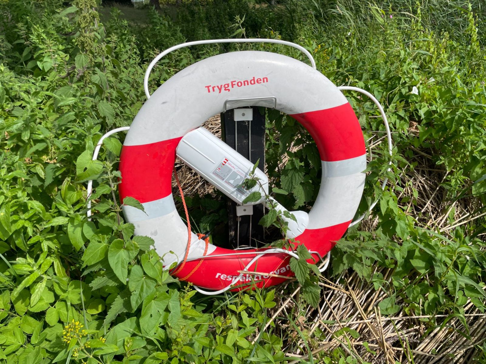 Badestranden ved Næsset