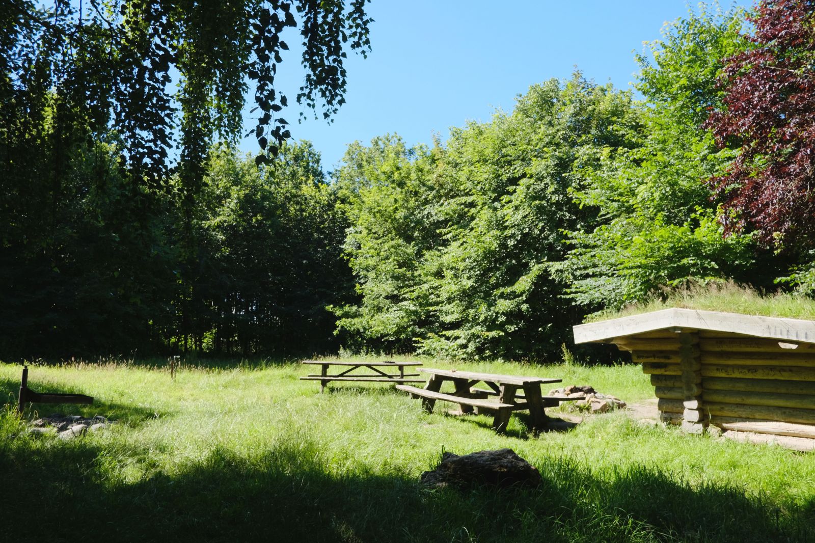 Sebberup Skov Shelter – miniature 4