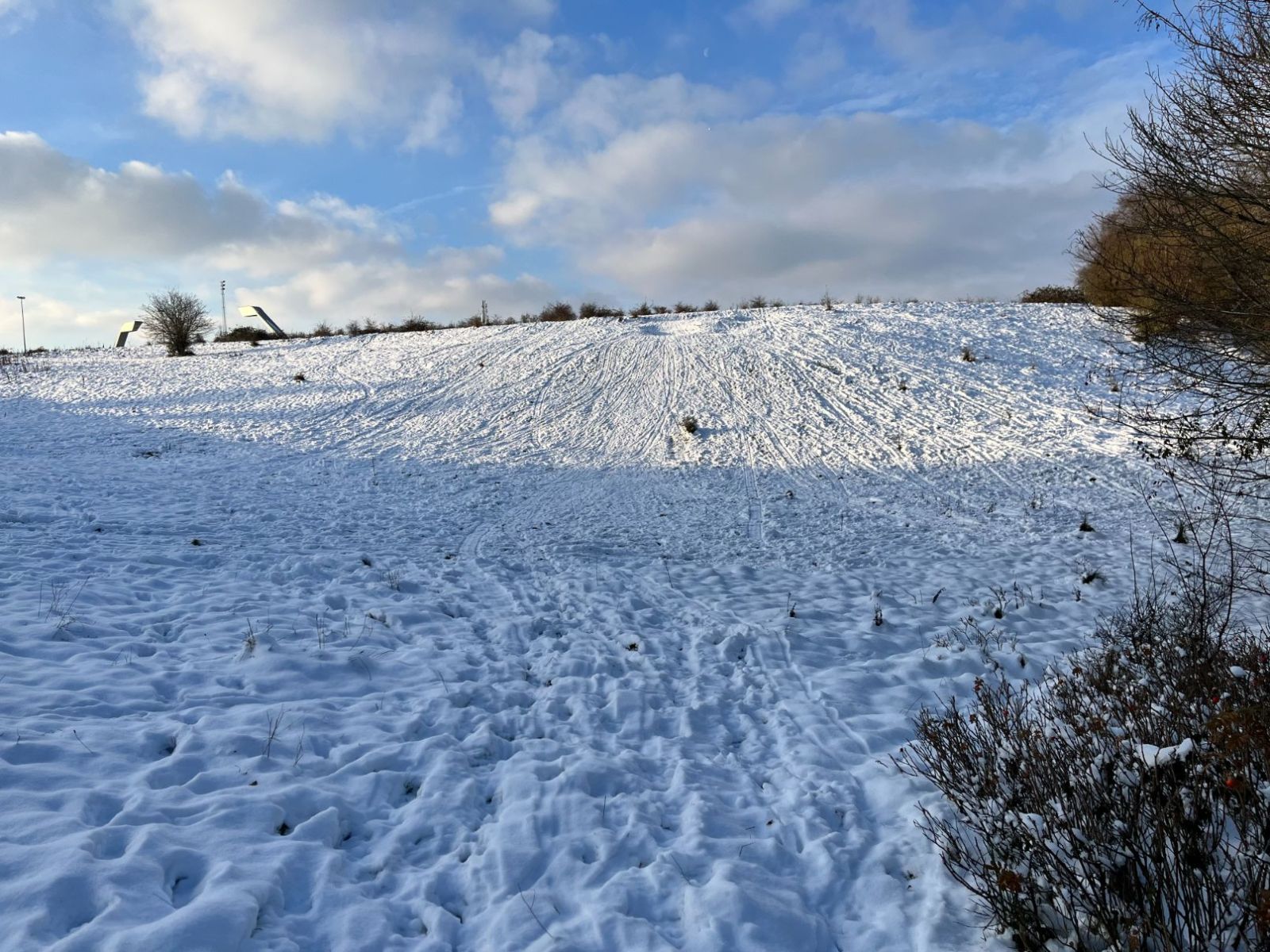 Billede af kælkebakke ved Flintebakken med sne og omkranset af buske